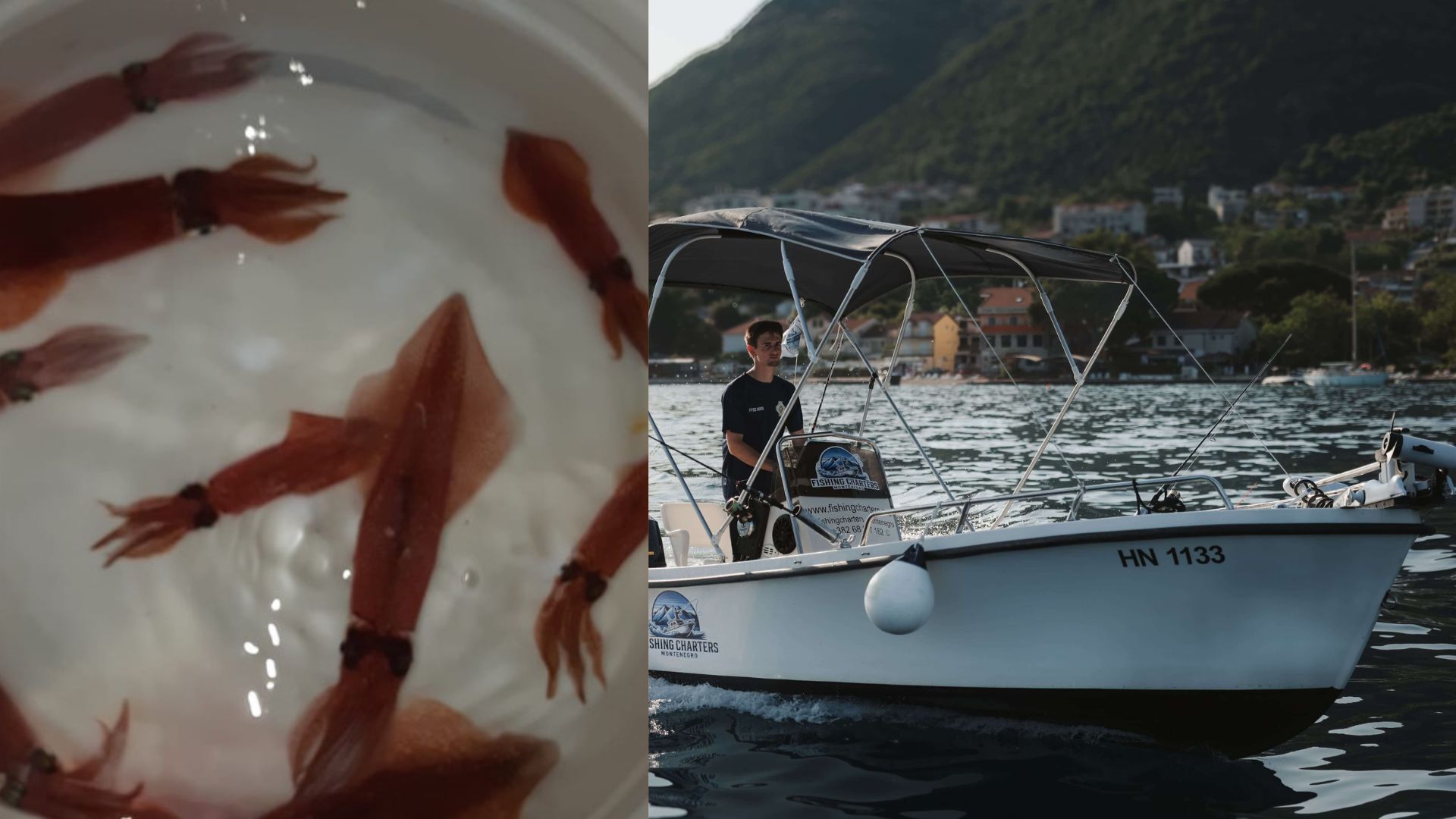 Squid Fishing | PORTO 510