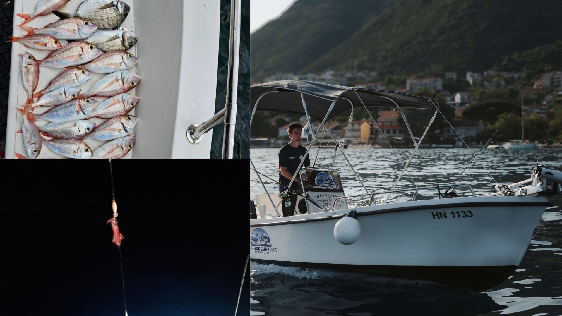 Bolentino with sunset + squid fishing at night | Porto 510