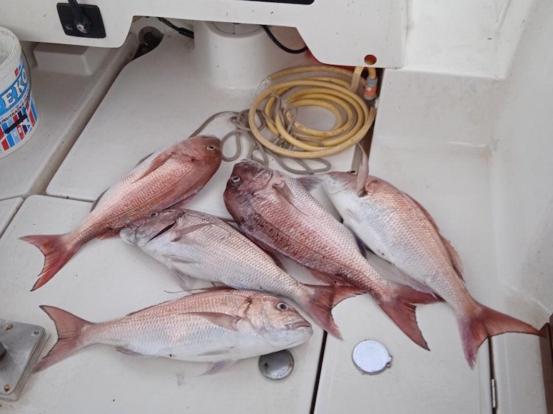 Fishing Charters Montenegro