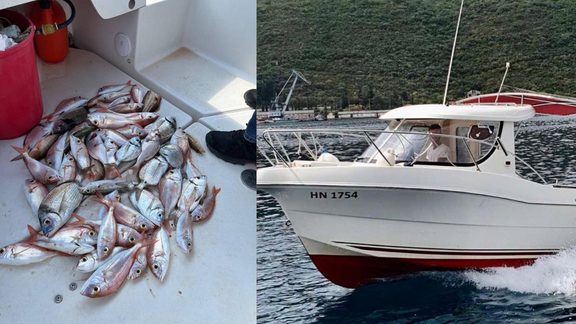 Bolentino Boka Bay | ARVOR 215