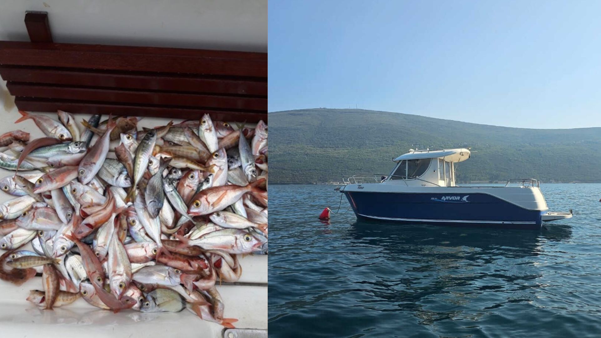 Bolentino Offshore | ARVOR 280 AS Delux